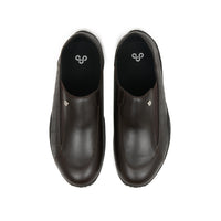 FACET (Brown)