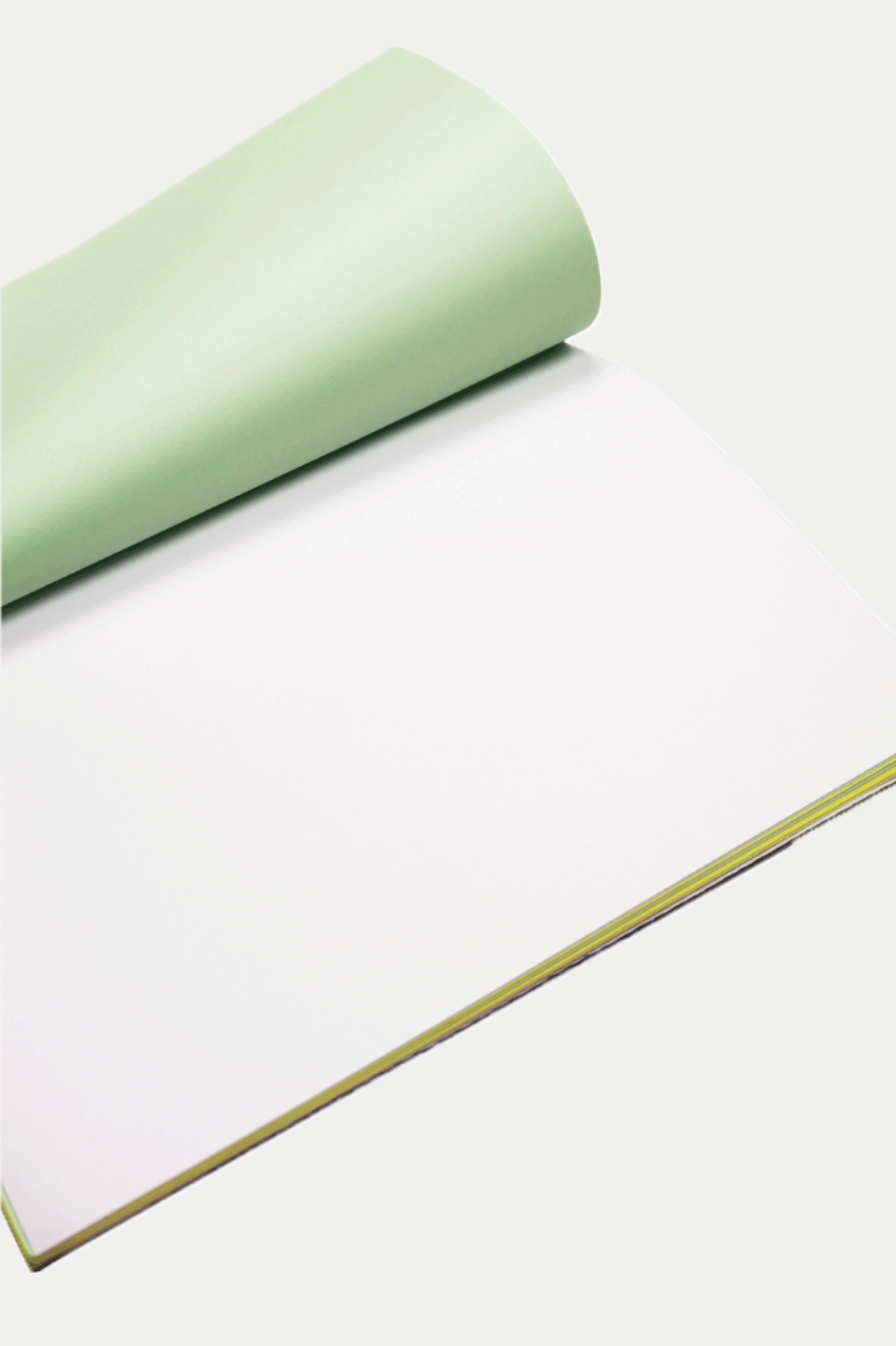 0fr × BORGO DELLE TOVAGLIE Notebook Green