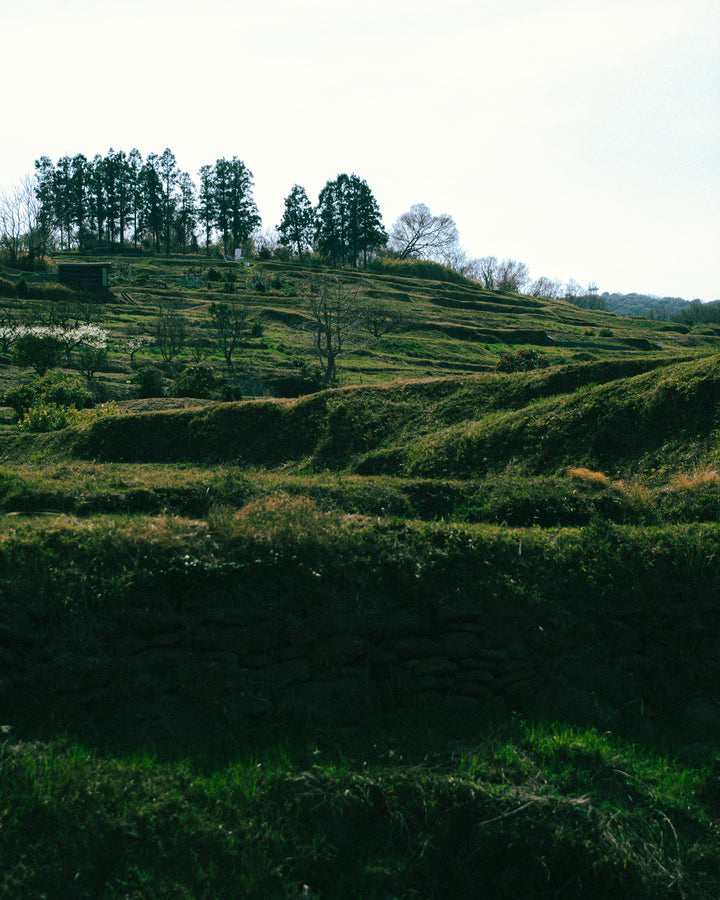 20260327-DSC04793_720x.jpg?v=