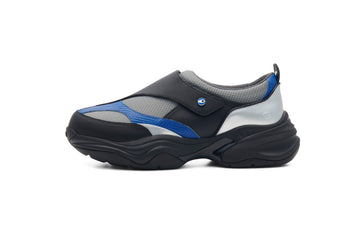 SHELL for ADVANCED RESEARCH (Gray)