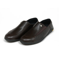 FACET (Brown)
